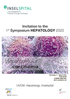 [Translate to Français:] Hybrid Symposium Hepatocellular carcinoma